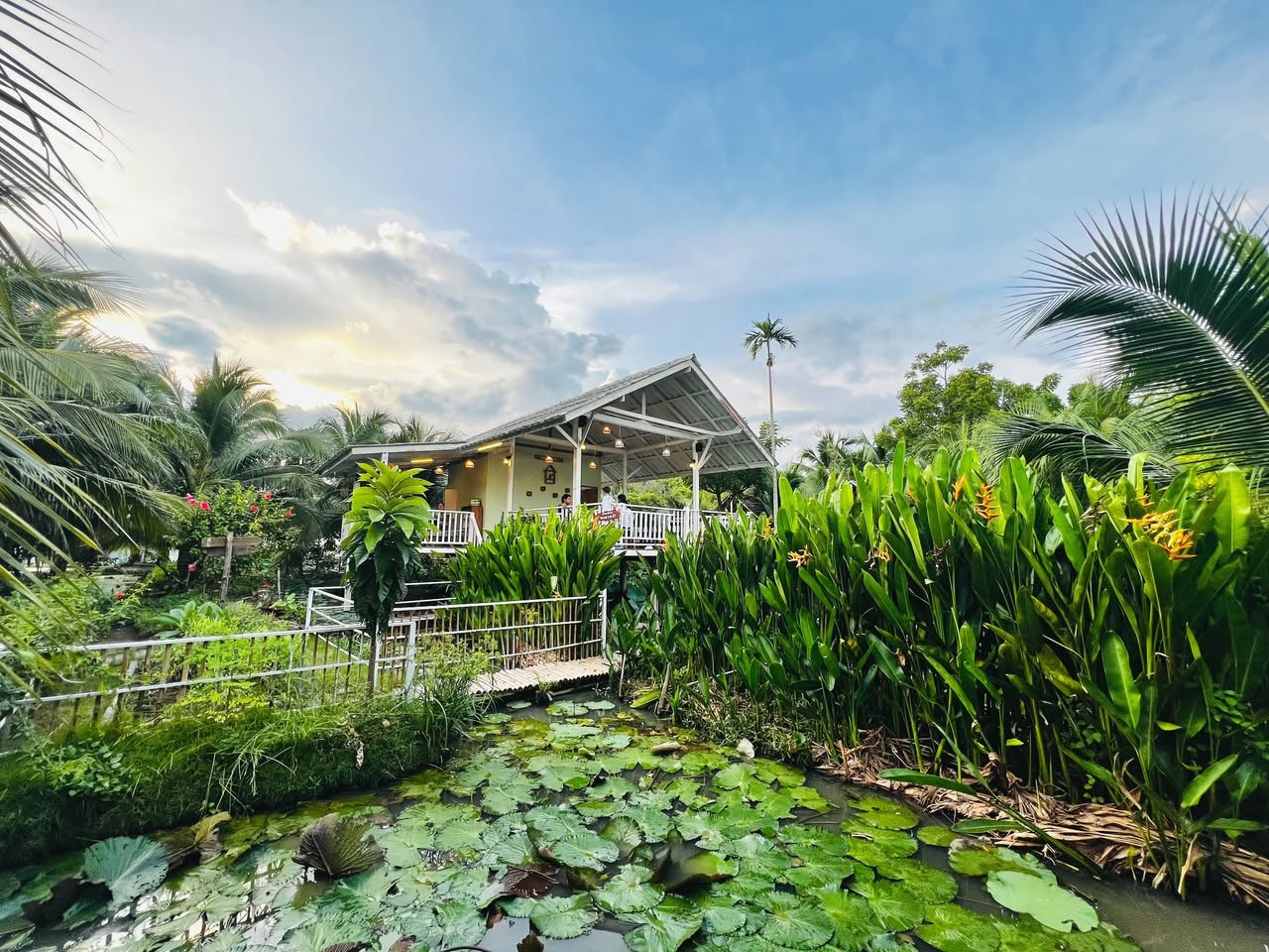 บ้านสวย ในสวน, Siam Brasserie , The Treehouse Nongchok, Natura Cafe, BaanNaiSuan Cafe&amp;Yoga, Patom, Portobello &amp; Désiré, ครัวบ้านสวนสุวรรณ, ร้านอาหารฐิตารีย์ สวนรถไฟ จตุจักร, บ้านสวน อบอวลรัก