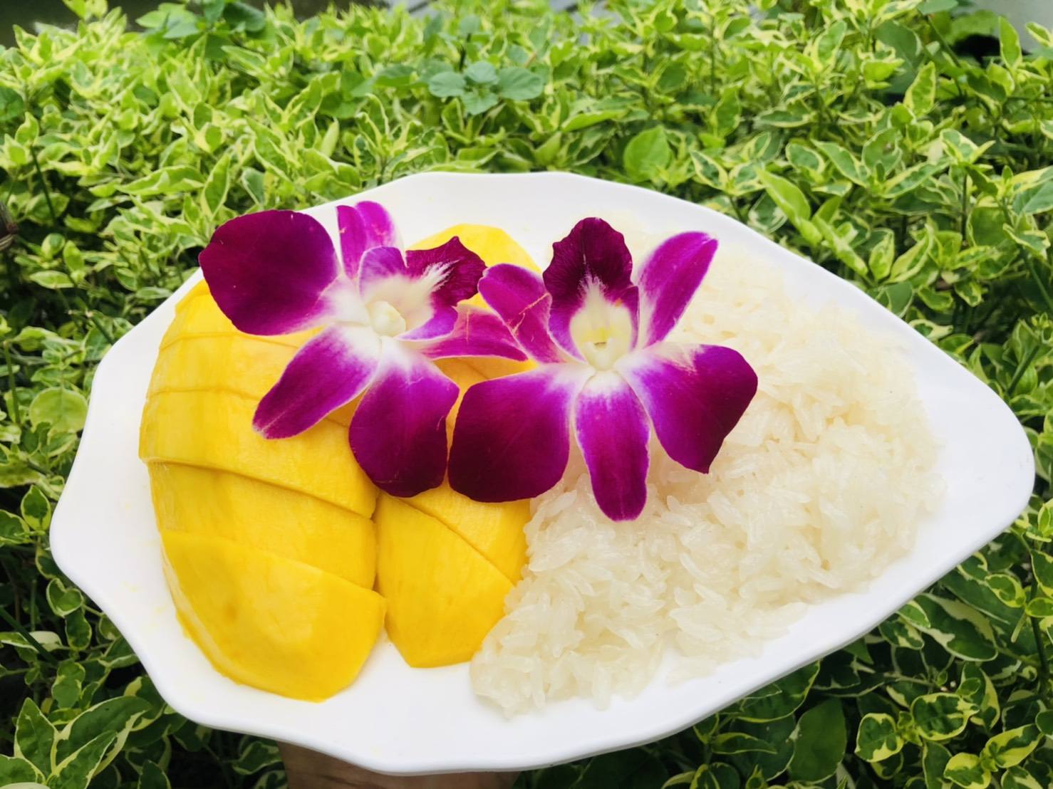 บ้านสวย ในสวน, Siam Brasserie , The Treehouse Nongchok, Natura Cafe, BaanNaiSuan Cafe&amp;Yoga, Patom, Portobello &amp; Désiré, ครัวบ้านสวนสุวรรณ, ร้านอาหารฐิตารีย์ สวนรถไฟ จตุจักร, บ้านสวน อบอวลรัก