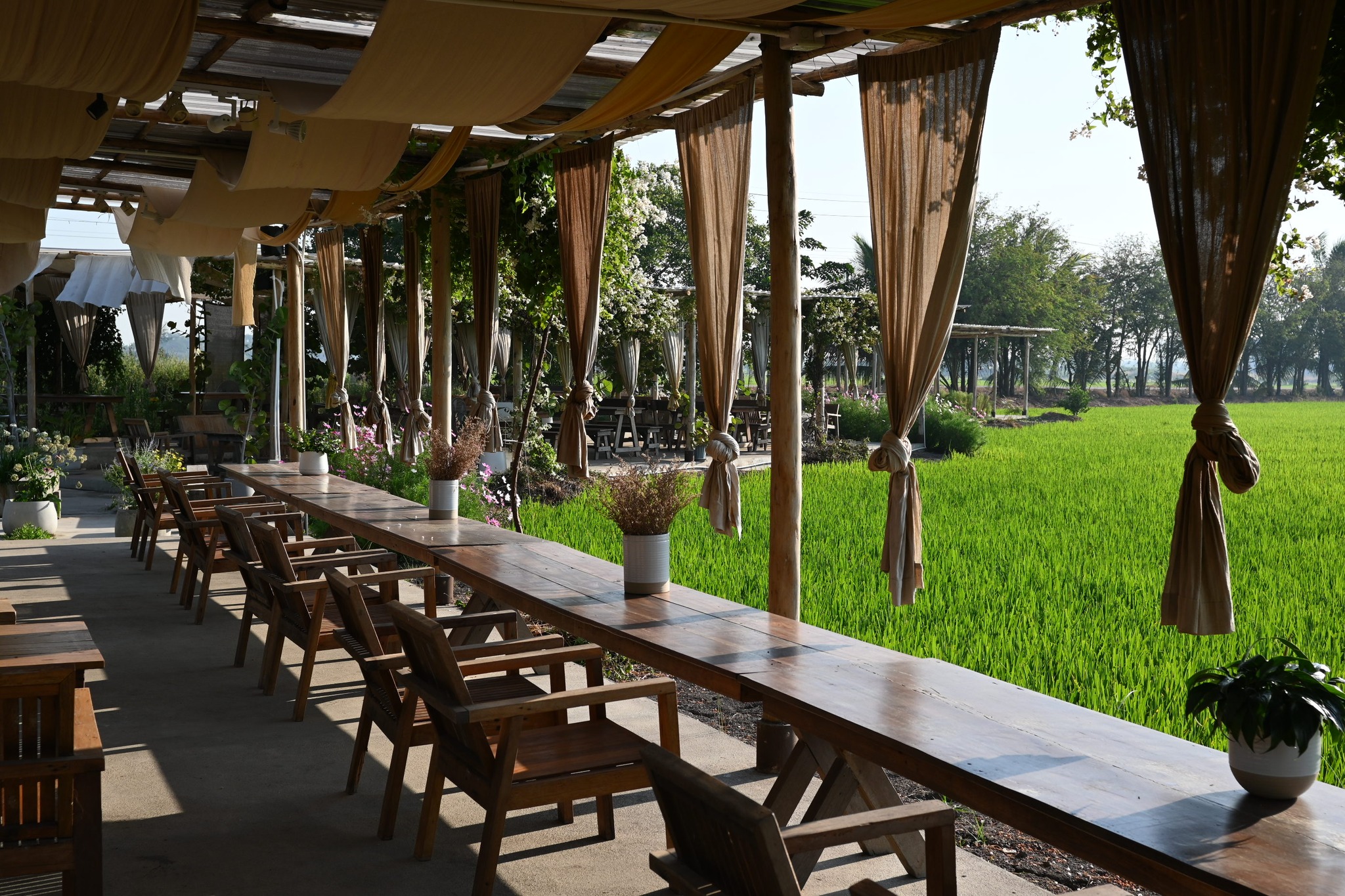 Smitten Cafe and Decor, Thong Ampai Café, THREE Cafe, Continue.cafe, Sunday in 345 cafe, Aprilhouse, The Aileen Cafe', Oliva Cafe, The Kottage Cafe, Plant Cafe, ปิ่นโตนามีตาล, Baan Kanom De'Pathum, Pumpkin Art Town, Mushroom Hut Cafe, KAD Cafe - กาด คาเฟ่, ADAM cafe