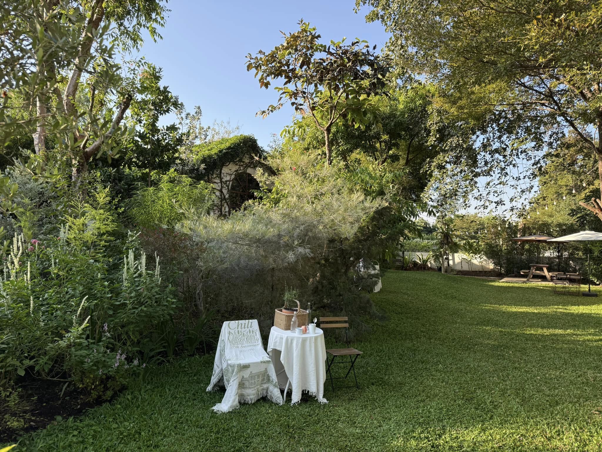 White House Forest, เกษม : KASEM Coffee, Rosie.nak, Luk Labb Coffee, Grande KAFE, KFD in Town, สวรรค์บ้านนา คาเฟ่ Food &amp; Drink, กอหญ้า คาเฟ่, ณ บุ่ง Coffee, polar polar CAFE', Yellow Pumpkin, ร้าน Yellow Pumpkin เปิดบริการตามปกติ 11.00-17.00 น. (ปิดวันพฤหัสบดี), I'm home cafe, ประจำอำเภอ, glinfon, 382 Space Café, La-Moon cafe'