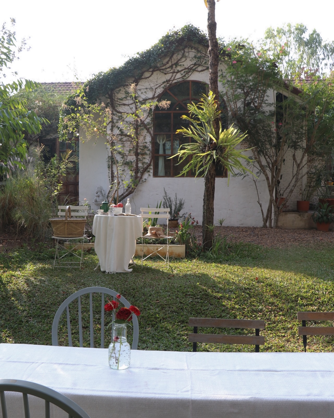 White House Forest, เกษม : KASEM Coffee, Rosie.nak, Luk Labb Coffee, Grande KAFE, KFD in Town, สวรรค์บ้านนา คาเฟ่ Food &amp; Drink, กอหญ้า คาเฟ่, ณ บุ่ง Coffee, polar polar CAFE', Yellow Pumpkin, ร้าน Yellow Pumpkin เปิดบริการตามปกติ 11.00-17.00 น. (ปิดวันพฤหัสบดี), I'm home cafe, ประจำอำเภอ, glinfon, 382 Space Café, La-Moon cafe'