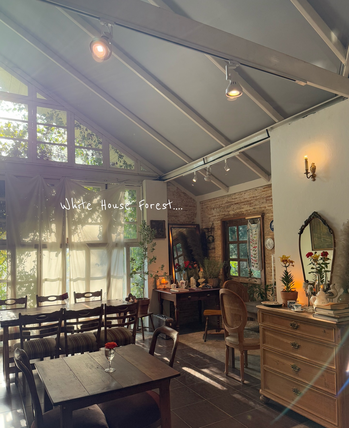 White House Forest, เกษม : KASEM Coffee, Rosie.nak, Luk Labb Coffee, Grande KAFE, KFD in Town, สวรรค์บ้านนา คาเฟ่ Food &amp; Drink, กอหญ้า คาเฟ่, ณ บุ่ง Coffee, polar polar CAFE', Yellow Pumpkin, ร้าน Yellow Pumpkin เปิดบริการตามปกติ 11.00-17.00 น. (ปิดวันพฤหัสบดี), I'm home cafe, ประจำอำเภอ, glinfon, 382 Space Café, La-Moon cafe'