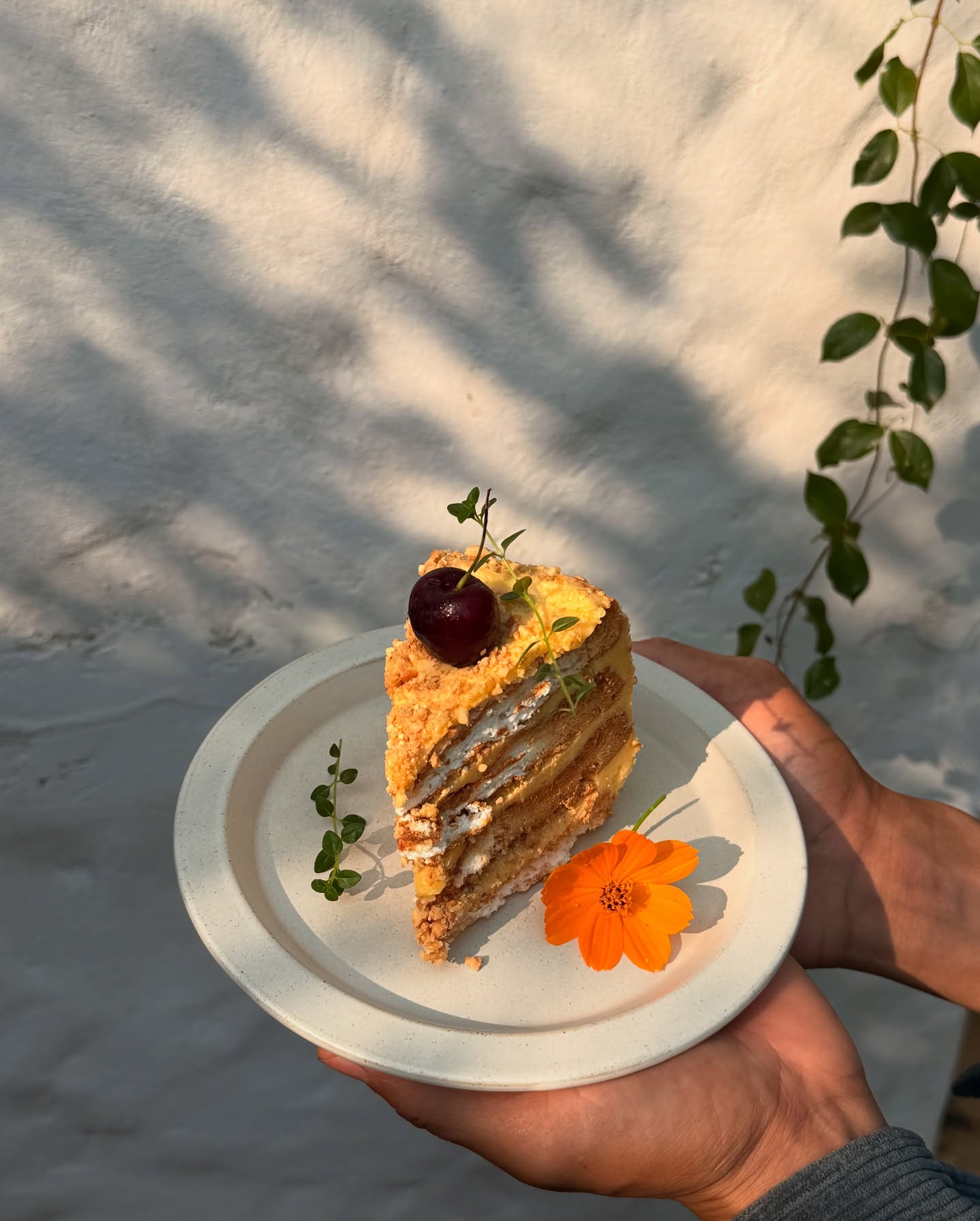 White House Forest, เกษม : KASEM Coffee, Rosie.nak, Luk Labb Coffee, Grande KAFE, KFD in Town, สวรรค์บ้านนา คาเฟ่ Food &amp; Drink, กอหญ้า คาเฟ่, ณ บุ่ง Coffee, polar polar CAFE', Yellow Pumpkin, ร้าน Yellow Pumpkin เปิดบริการตามปกติ 11.00-17.00 น. (ปิดวันพฤหัสบดี), I'm home cafe, ประจำอำเภอ, glinfon, 382 Space Café, La-Moon cafe'