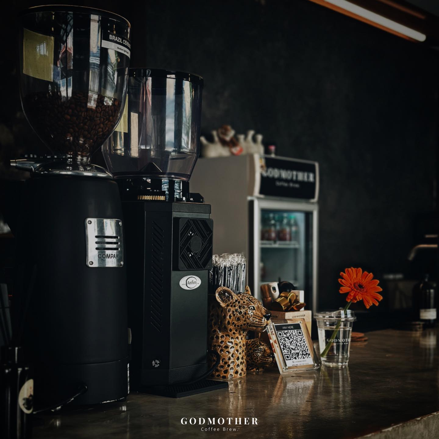 Chuen.floralhomecafe, Ralph.cafe, Howdy Cafe&amp;Bistro, qoofe.cafe, Santipanich cafe, Godmother Coffee Brew., ปัจจัยสี่คาเฟ่, WHITE JAI