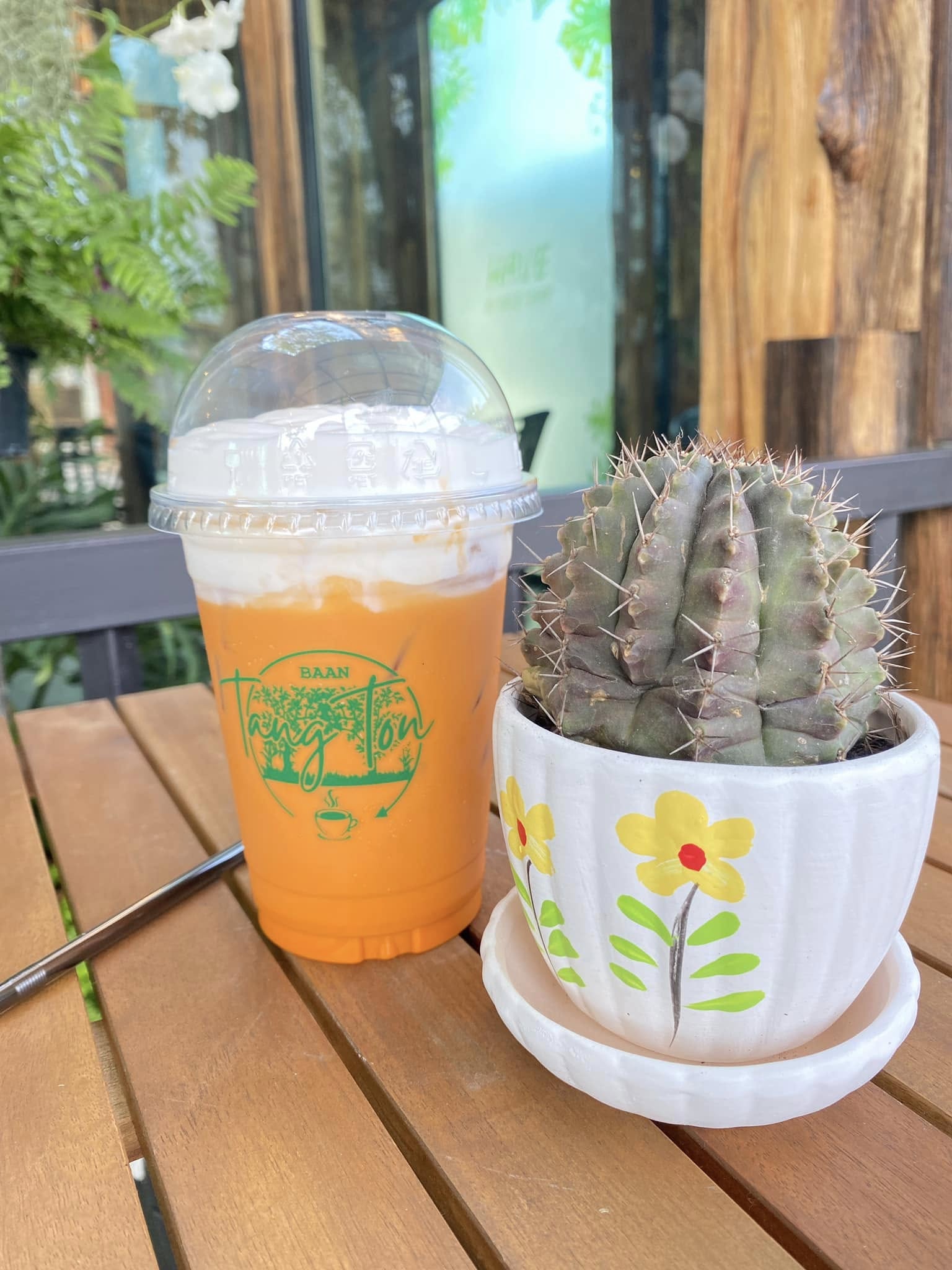 บ้านสวนกำไรสุข, 321 Furusato-ふるさと, เพลินปะกง คาเฟ่, Sun up Café, สวนป่าบ้านลุง, 87 Home Cafe', บ้านตั้งต้น, Norris Coffee, Cafe de Mu, คาเฟ่แรงใจ