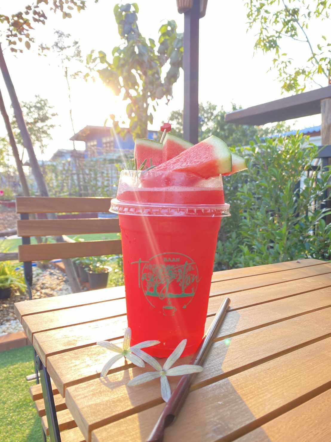 บ้านสวนกำไรสุข, 321 Furusato-ふるさと, เพลินปะกง คาเฟ่, Sun up Café, สวนป่าบ้านลุง, 87 Home Cafe', บ้านตั้งต้น, Norris Coffee, Cafe de Mu, คาเฟ่แรงใจ