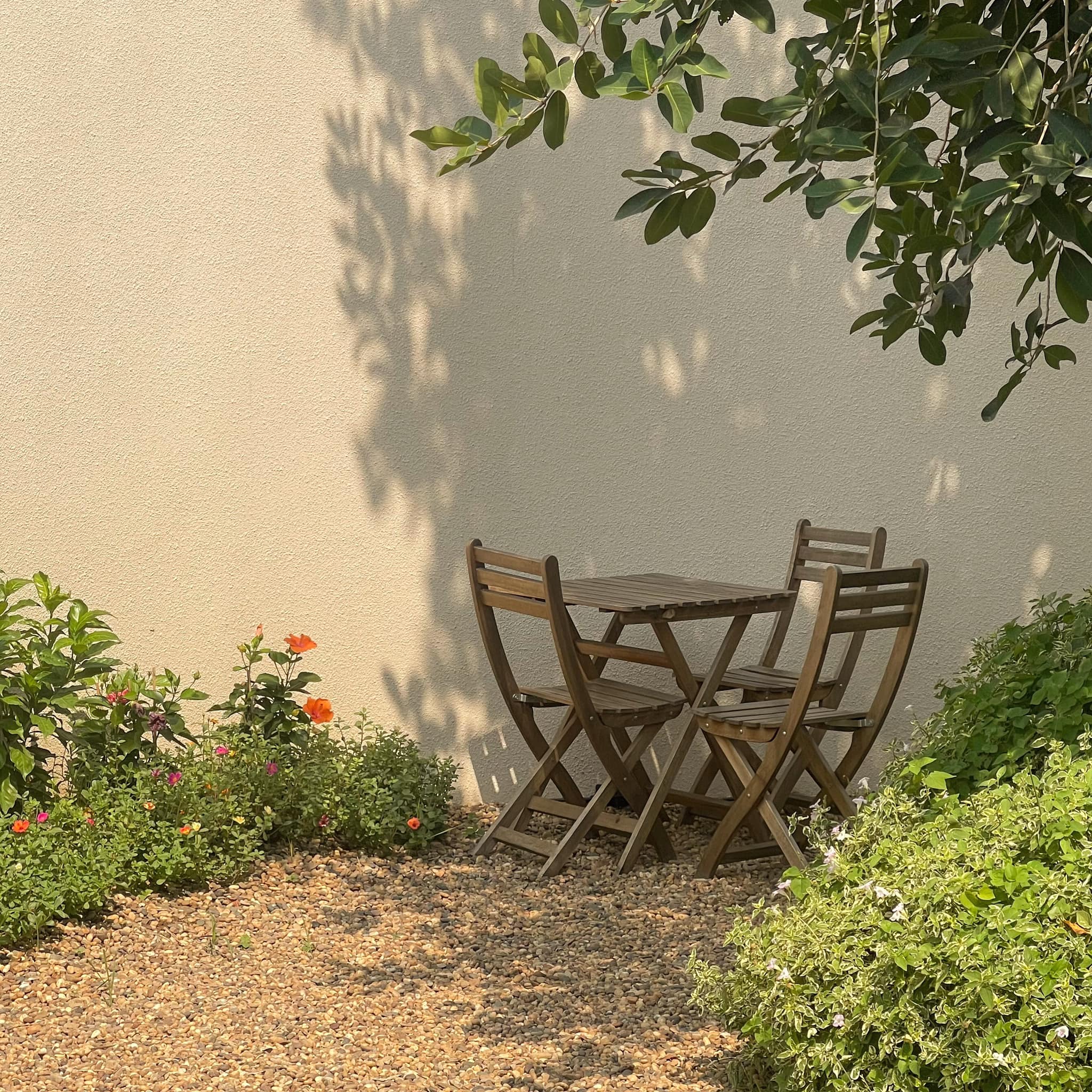 Chuen.floralhomecafe, Ralph.cafe, Howdy Cafe&amp;Bistro, qoofe.cafe, Santipanich cafe, Godmother Coffee Brew., ปัจจัยสี่คาเฟ่, WHITE JAI