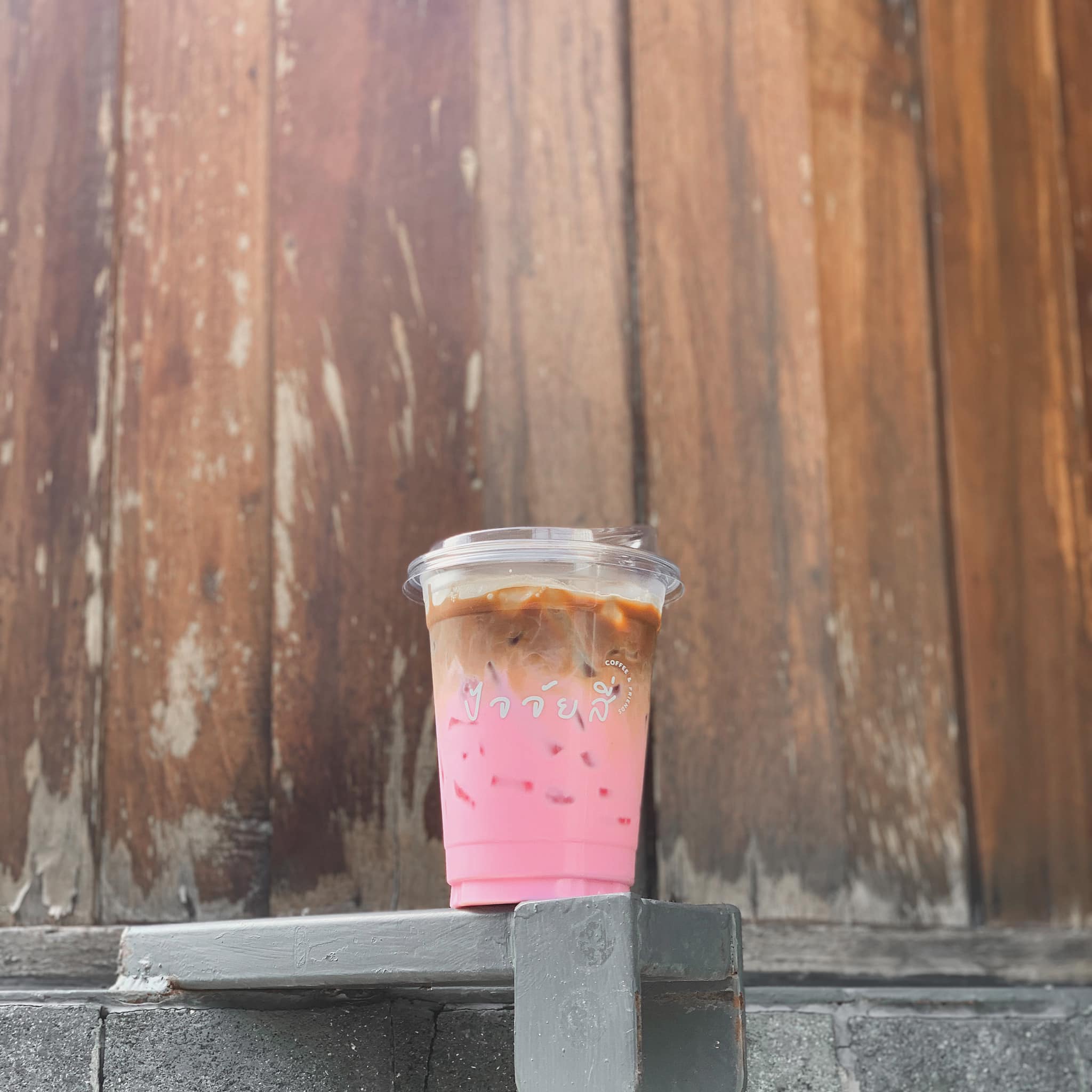 Chuen.floralhomecafe, Ralph.cafe, Howdy Cafe&amp;Bistro, qoofe.cafe, Santipanich cafe, Godmother Coffee Brew., ปัจจัยสี่คาเฟ่, WHITE JAI