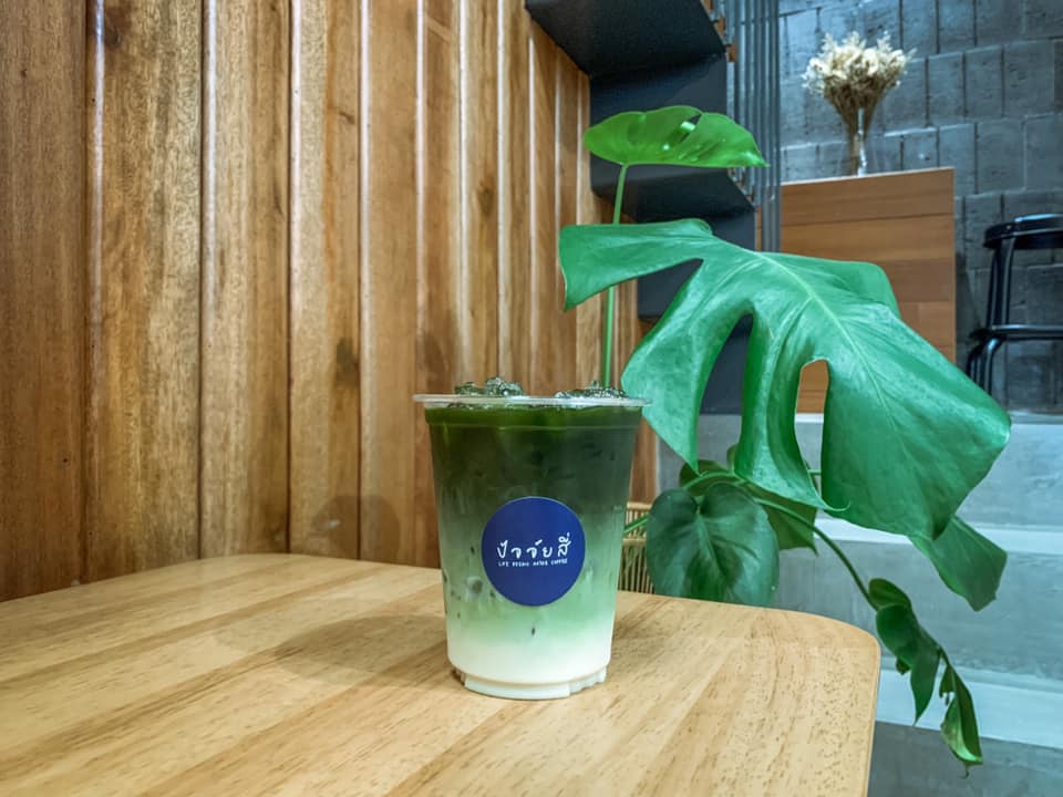 Chuen.floralhomecafe, Ralph.cafe, Howdy Cafe&amp;Bistro, qoofe.cafe, Santipanich cafe, Godmother Coffee Brew., ปัจจัยสี่คาเฟ่, WHITE JAI