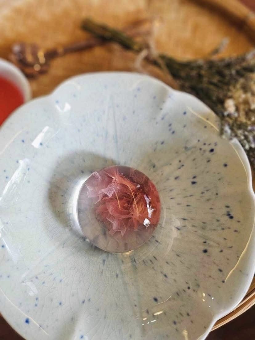 บ้านสวนกำไรสุข, 321 Furusato-ふるさと, เพลินปะกง คาเฟ่, Sun up Café, สวนป่าบ้านลุง, 87 Home Cafe', บ้านตั้งต้น, Norris Coffee, Cafe de Mu, คาเฟ่แรงใจ