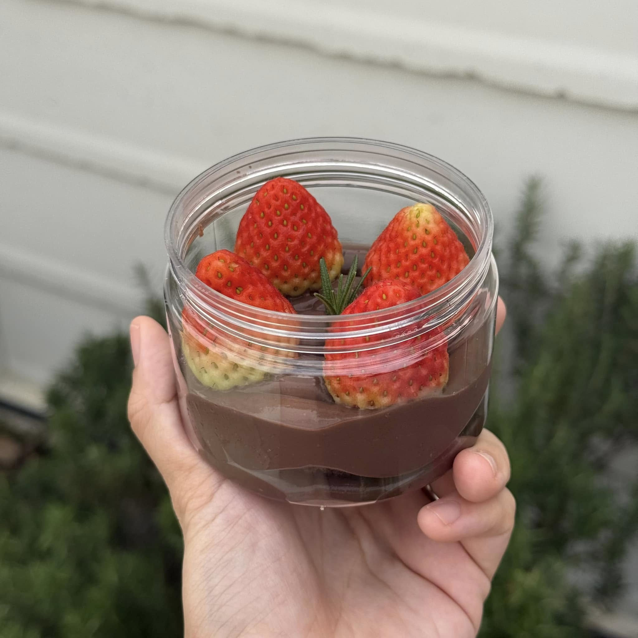 บ้านสวนกำไรสุข, 321 Furusato-ふるさと, เพลินปะกง คาเฟ่, Sun up Café, สวนป่าบ้านลุง, 87 Home Cafe', บ้านตั้งต้น, Norris Coffee, Cafe de Mu, คาเฟ่แรงใจ