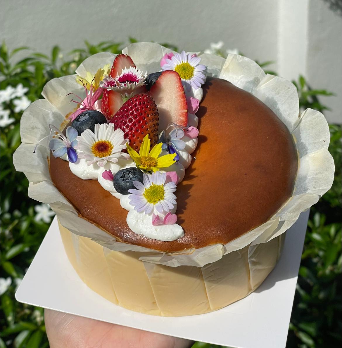 บ้านสวนกำไรสุข, 321 Furusato-ふるさと, เพลินปะกง คาเฟ่, Sun up Café, สวนป่าบ้านลุง, 87 Home Cafe', บ้านตั้งต้น, Norris Coffee, Cafe de Mu, คาเฟ่แรงใจ