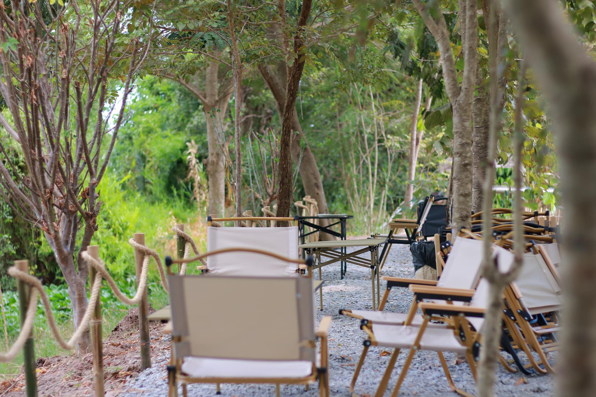 บ้านสวนกำไรสุข, 321 Furusato-ふるさと, เพลินปะกง คาเฟ่, Sun up Café, สวนป่าบ้านลุง, 87 Home Cafe', บ้านตั้งต้น, Norris Coffee, Cafe de Mu, คาเฟ่แรงใจ