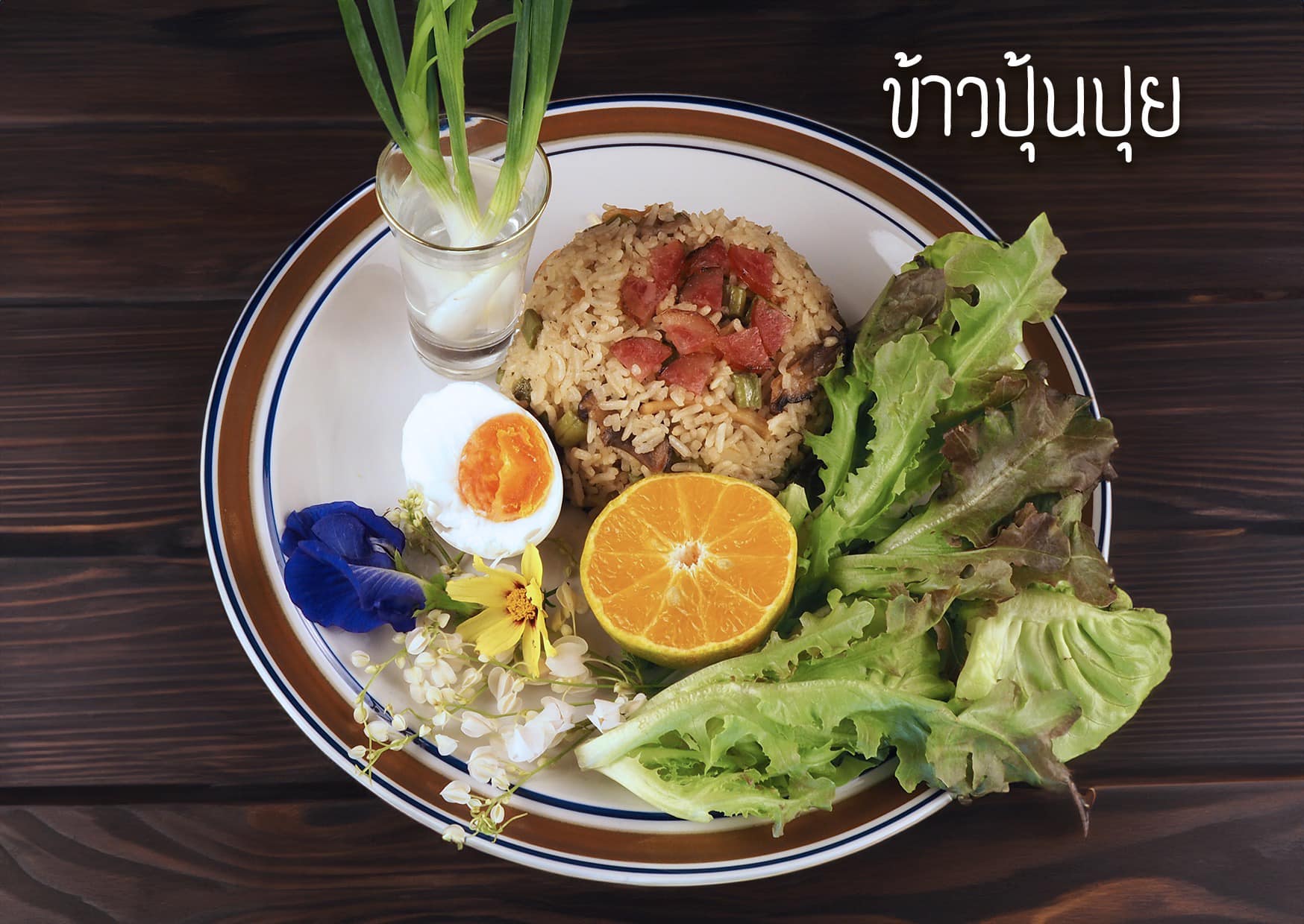 บ้านสวนกำไรสุข, 321 Furusato-ふるさと, เพลินปะกง คาเฟ่, Sun up Café, สวนป่าบ้านลุง, 87 Home Cafe', บ้านตั้งต้น, Norris Coffee, Cafe de Mu, คาเฟ่แรงใจ