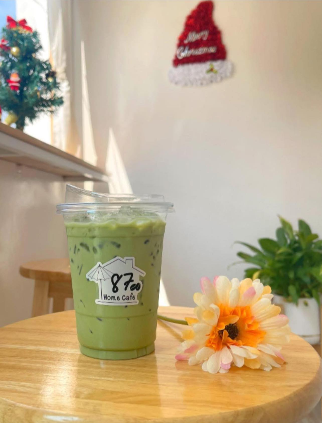 บ้านสวนกำไรสุข, 321 Furusato-ふるさと, เพลินปะกง คาเฟ่, Sun up Café, สวนป่าบ้านลุง, 87 Home Cafe', บ้านตั้งต้น, Norris Coffee, Cafe de Mu, คาเฟ่แรงใจ