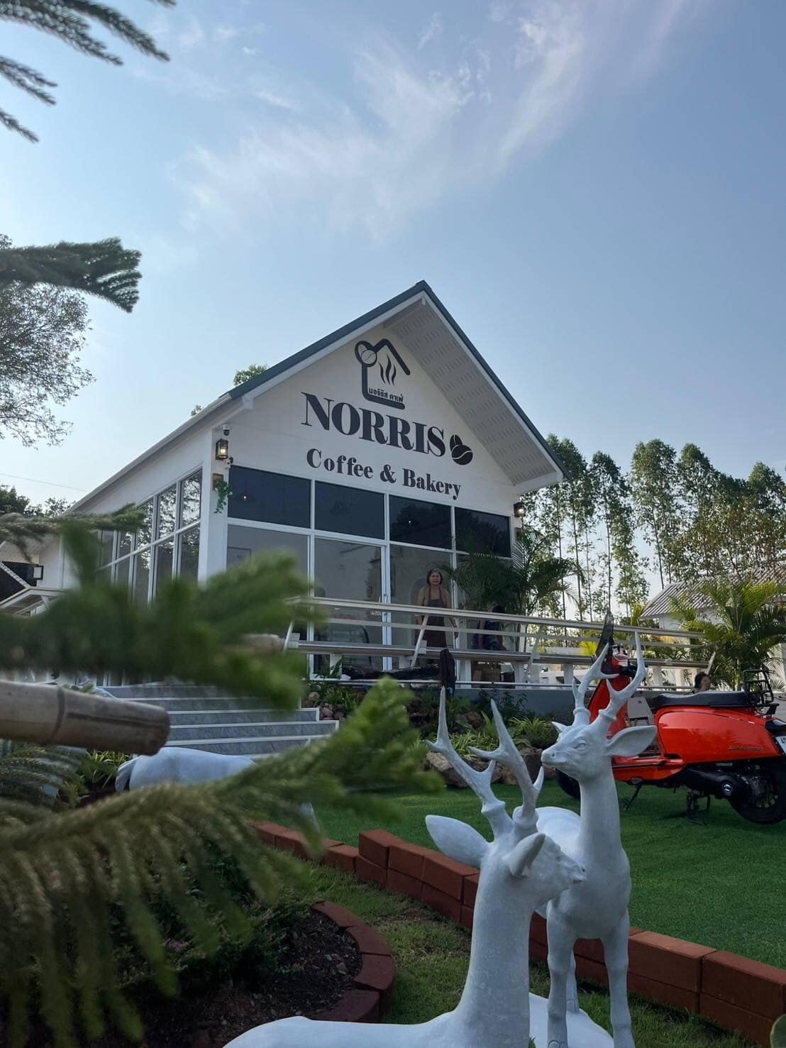 บ้านสวนกำไรสุข, 321 Furusato-ふるさと, เพลินปะกง คาเฟ่, Sun up Café, สวนป่าบ้านลุง, 87 Home Cafe', บ้านตั้งต้น, Norris Coffee, Cafe de Mu, คาเฟ่แรงใจ