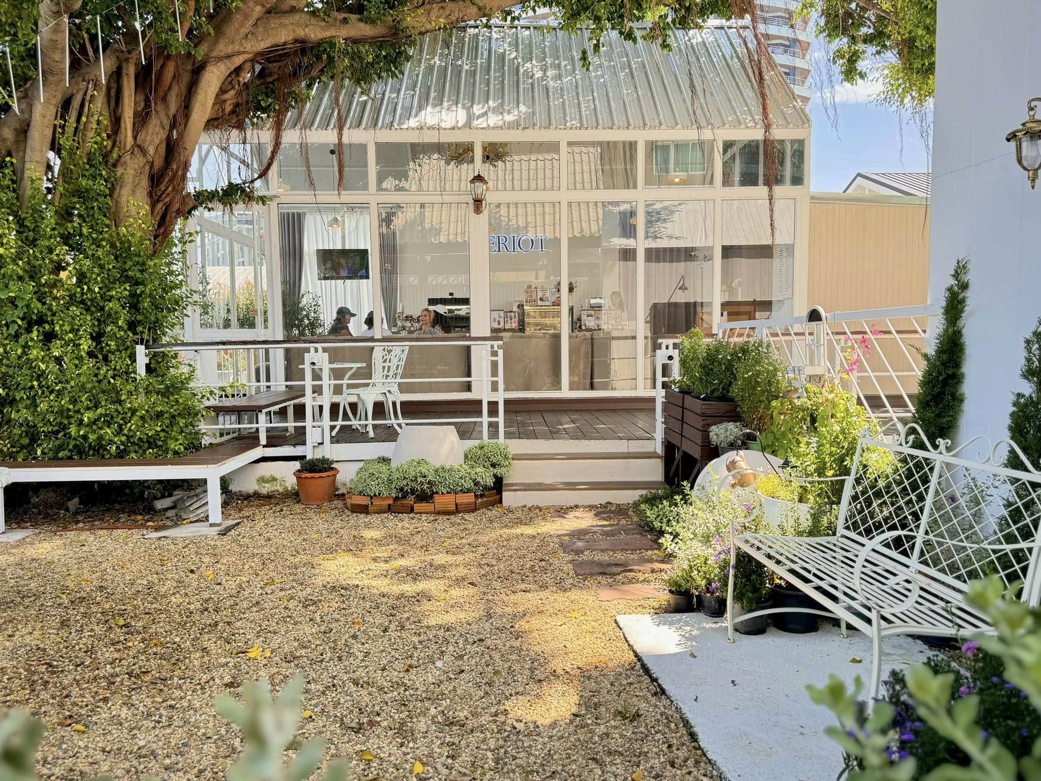 รับทำเค้กและเบเกอรี่ตามสั่งชลบุรี, Cocoa cafe, Sourcreamfactory, Heriot Cafe, Love your trees, BearbyTea, Fermenti, Daydream Café Chonburi, Tutu Beach