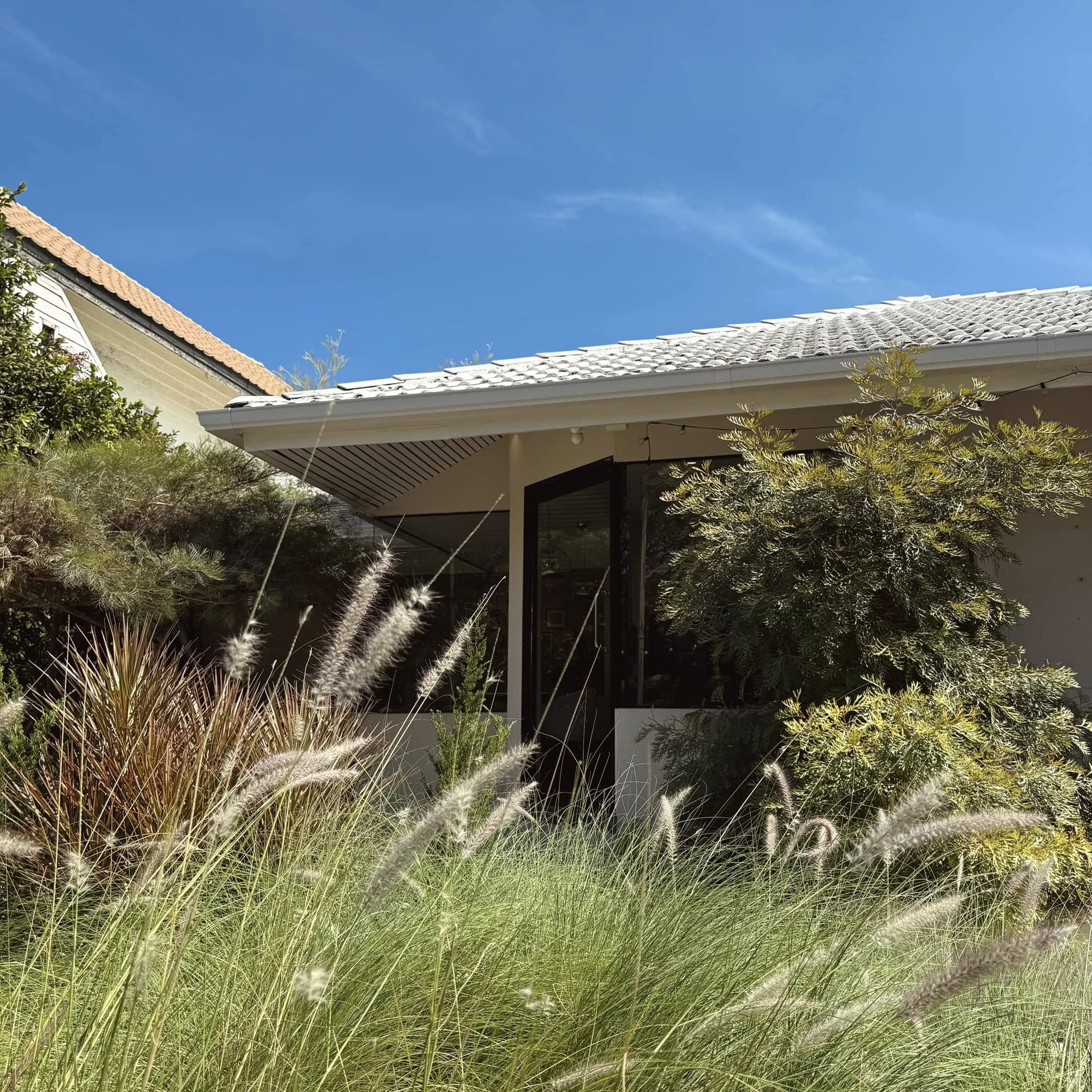 หมีไรกิน Buffet ปูไข่ดอง กุ้งดอง ไม่อั้น, Taste and Toast, พิศมัย PizzaMai, Mint Homebaking, ยักษ์กะโจน, See 180, Chef's gallery, Crepecafe