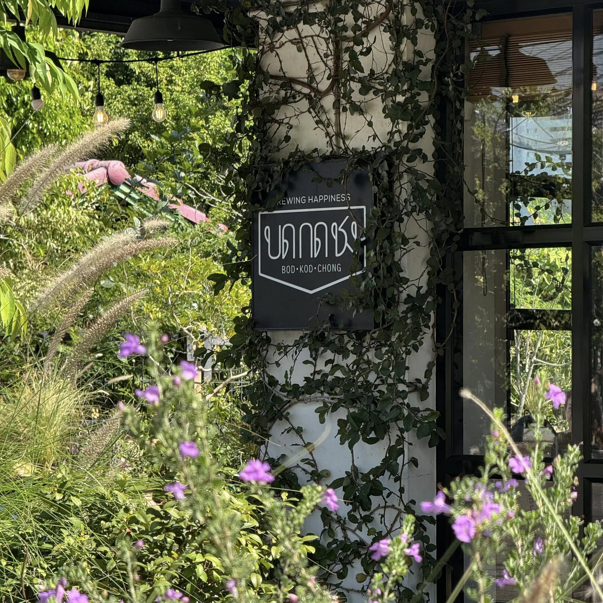 หมีไรกิน Buffet ปูไข่ดอง กุ้งดอง ไม่อั้น, Taste and Toast, พิศมัย PizzaMai, Mint Homebaking, ยักษ์กะโจน, See 180, Chef's gallery, Crepecafe