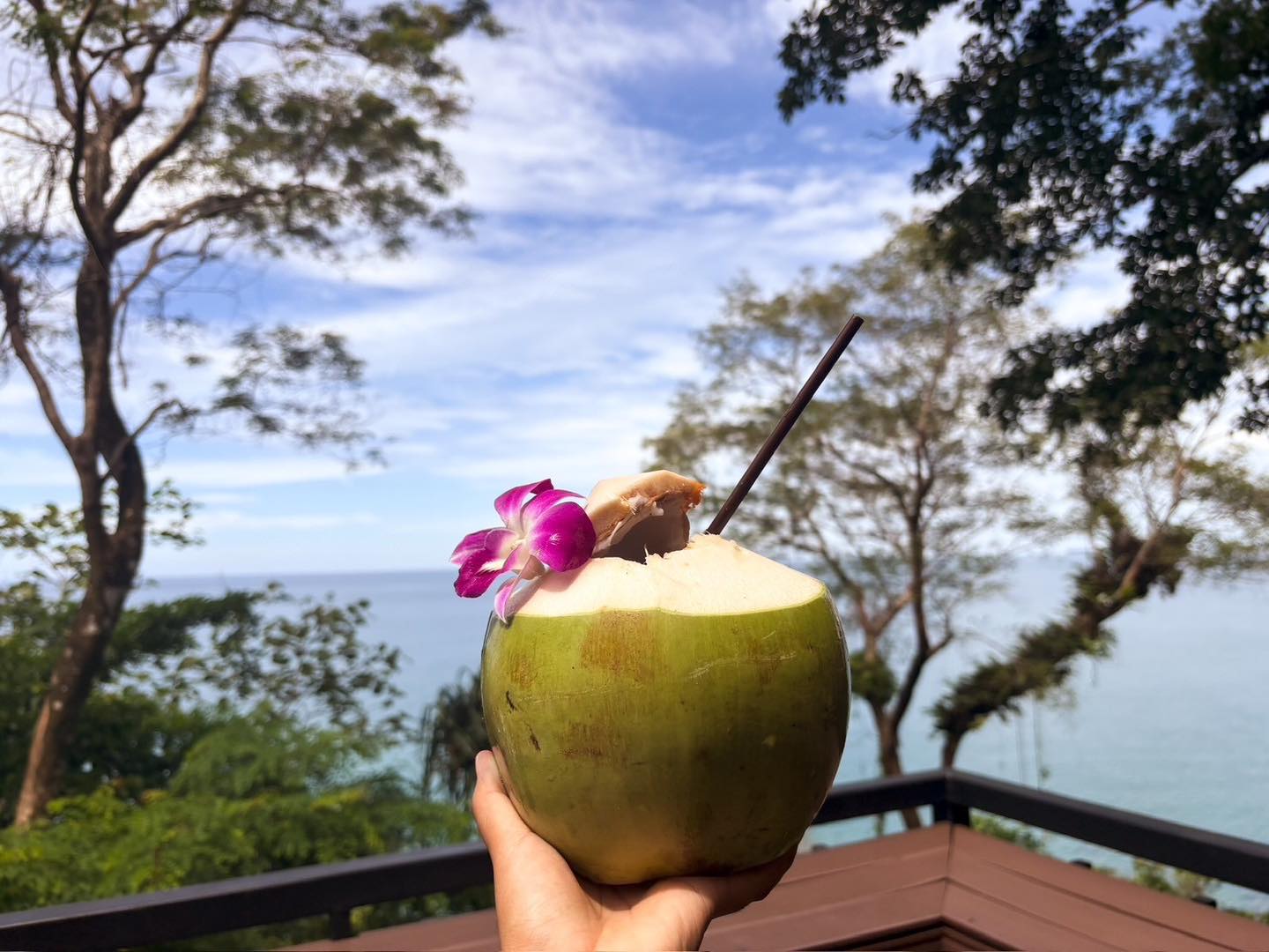 Delicacy Khaolak, BUN Pastry&amp; Beverages, Kopi Journey, Garang Khaolak, Merry Morning Cafe, อุทยานแห่งชาติเขาหลัก-ลำรู่ คาเฟ่, Lamsam Cafe &amp; Bistro, บ้านฉันท์ cafe &amp; restaurant, Dee Café &amp; Eatery, Takeshi's Espresso Bar