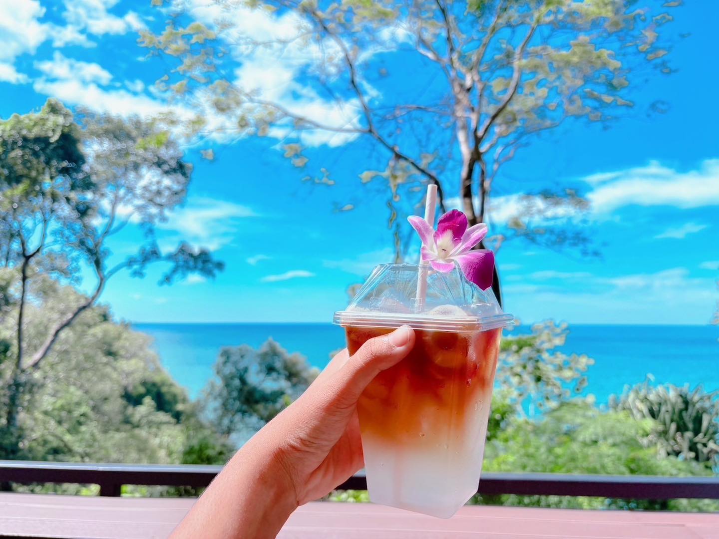 Delicacy Khaolak, BUN Pastry&amp; Beverages, Kopi Journey, Garang Khaolak, Merry Morning Cafe, อุทยานแห่งชาติเขาหลัก-ลำรู่ คาเฟ่, Lamsam Cafe &amp; Bistro, บ้านฉันท์ cafe &amp; restaurant, Dee Café &amp; Eatery, Takeshi's Espresso Bar