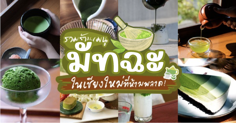 Matchappen, DWBH CAFE, Minna Matcha, Magokoro Teahouse, Nekoemon Cafe Chiang Mai
