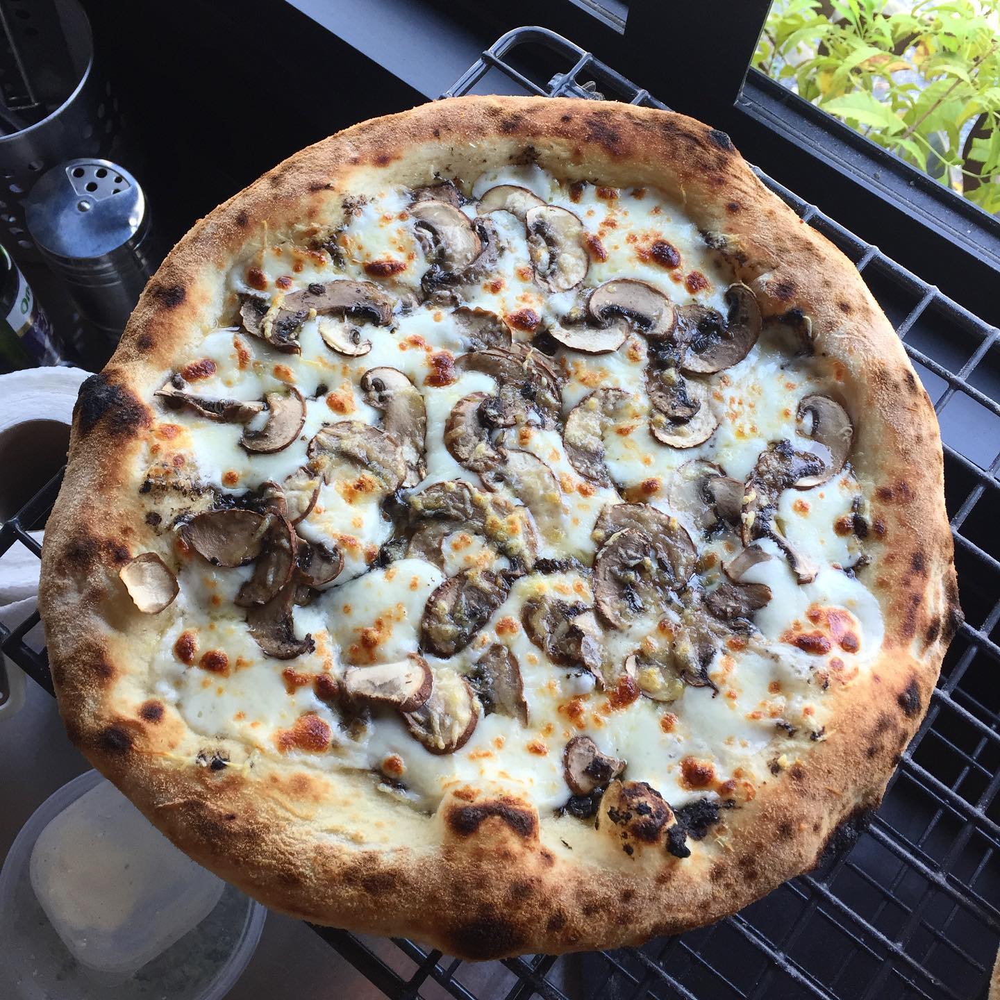 หมีไรกิน Buffet ปูไข่ดอง กุ้งดอง ไม่อั้น, Taste and Toast, พิศมัย PizzaMai, Mint Homebaking, ยักษ์กะโจน, See 180, Chef's gallery, Crepecafe