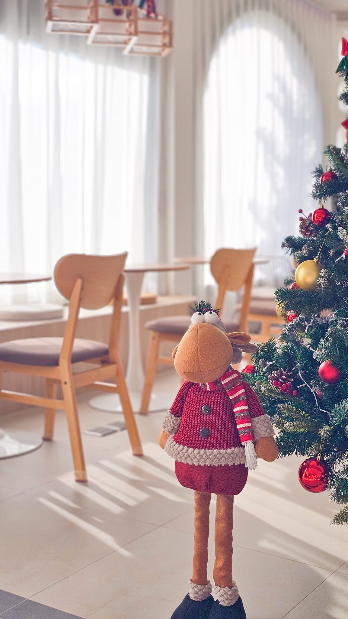 Delicacy Khaolak, BUN Pastry&amp; Beverages, Kopi Journey, Garang Khaolak, Merry Morning Cafe, อุทยานแห่งชาติเขาหลัก-ลำรู่ คาเฟ่, Lamsam Cafe &amp; Bistro, บ้านฉันท์ cafe &amp; restaurant, Dee Café &amp; Eatery, Takeshi's Espresso Bar