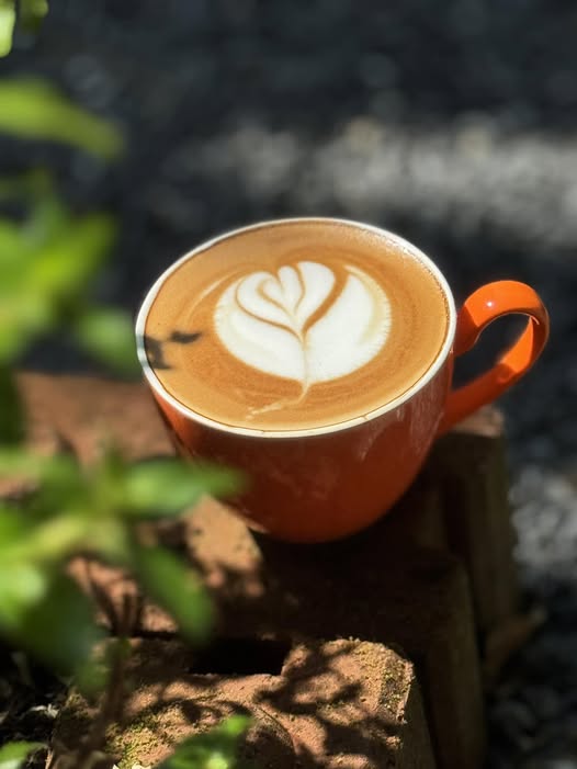 Delicacy Khaolak, BUN Pastry&amp; Beverages, Kopi Journey, Garang Khaolak, Merry Morning Cafe, อุทยานแห่งชาติเขาหลัก-ลำรู่ คาเฟ่, Lamsam Cafe &amp; Bistro, บ้านฉันท์ cafe &amp; restaurant, Dee Café &amp; Eatery, Takeshi's Espresso Bar