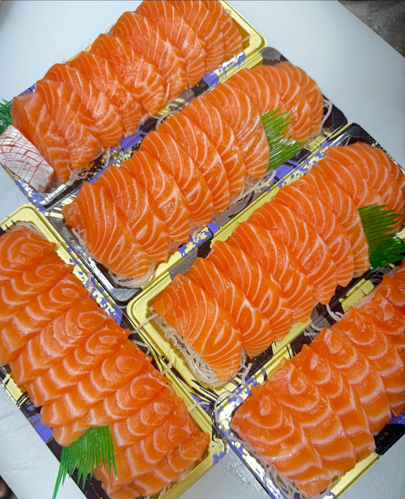 Salmon Cat, Yume plus sushi, ซูชิคุมะ ShuShi Kuma, จ่ามอส แซลม่อน ซีฟู๊ด, กินดิบ