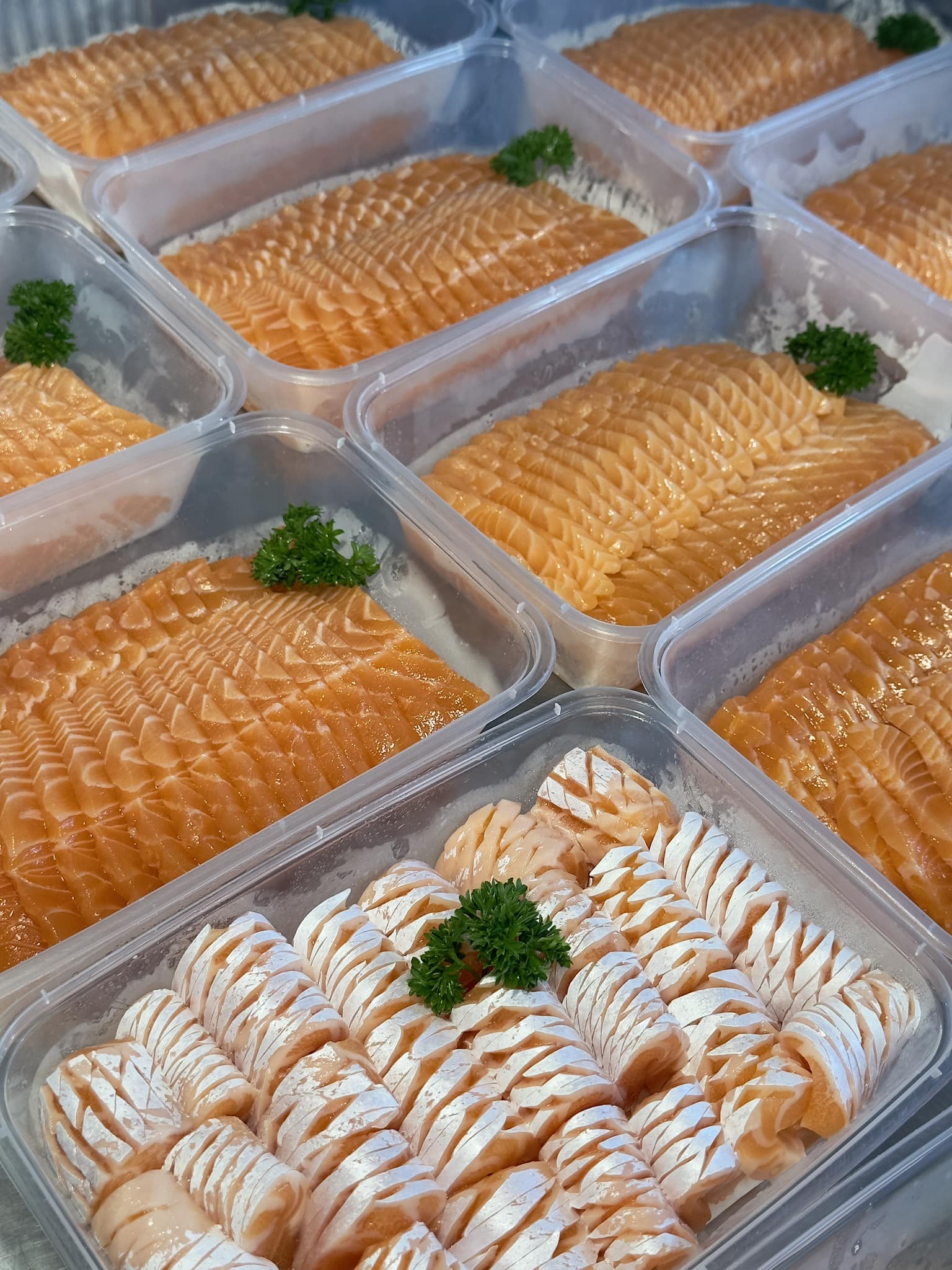 Salmon Cat, Yume plus sushi, ซูชิคุมะ ShuShi Kuma, จ่ามอส แซลม่อน ซีฟู๊ด, กินดิบ