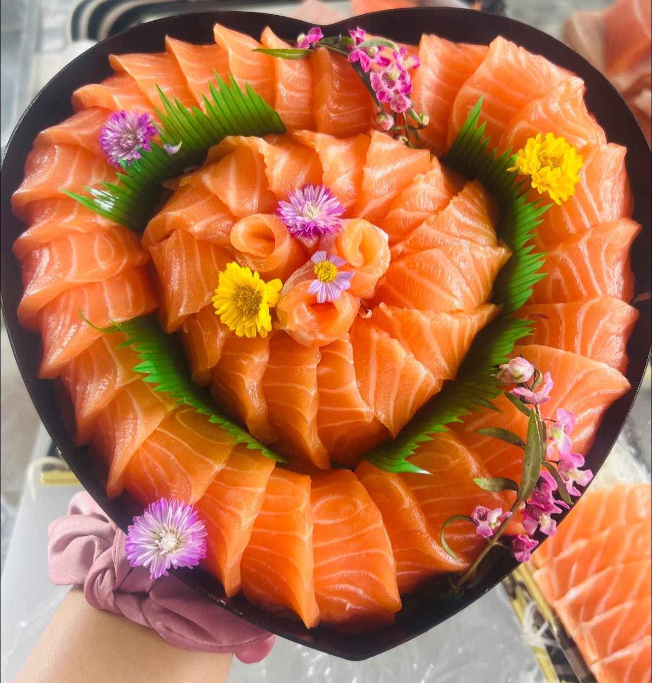 Salmon Cat, Yume plus sushi, ซูชิคุมะ ShuShi Kuma, จ่ามอส แซลม่อน ซีฟู๊ด, กินดิบ