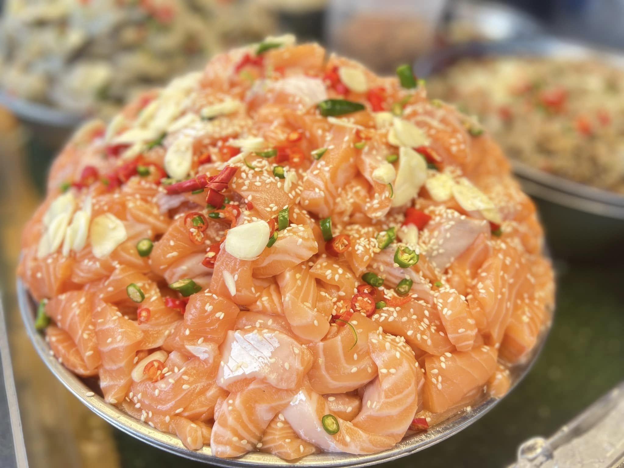 Salmon Cat, Yume plus sushi, ซูชิคุมะ ShuShi Kuma, จ่ามอส แซลม่อน ซีฟู๊ด, กินดิบ