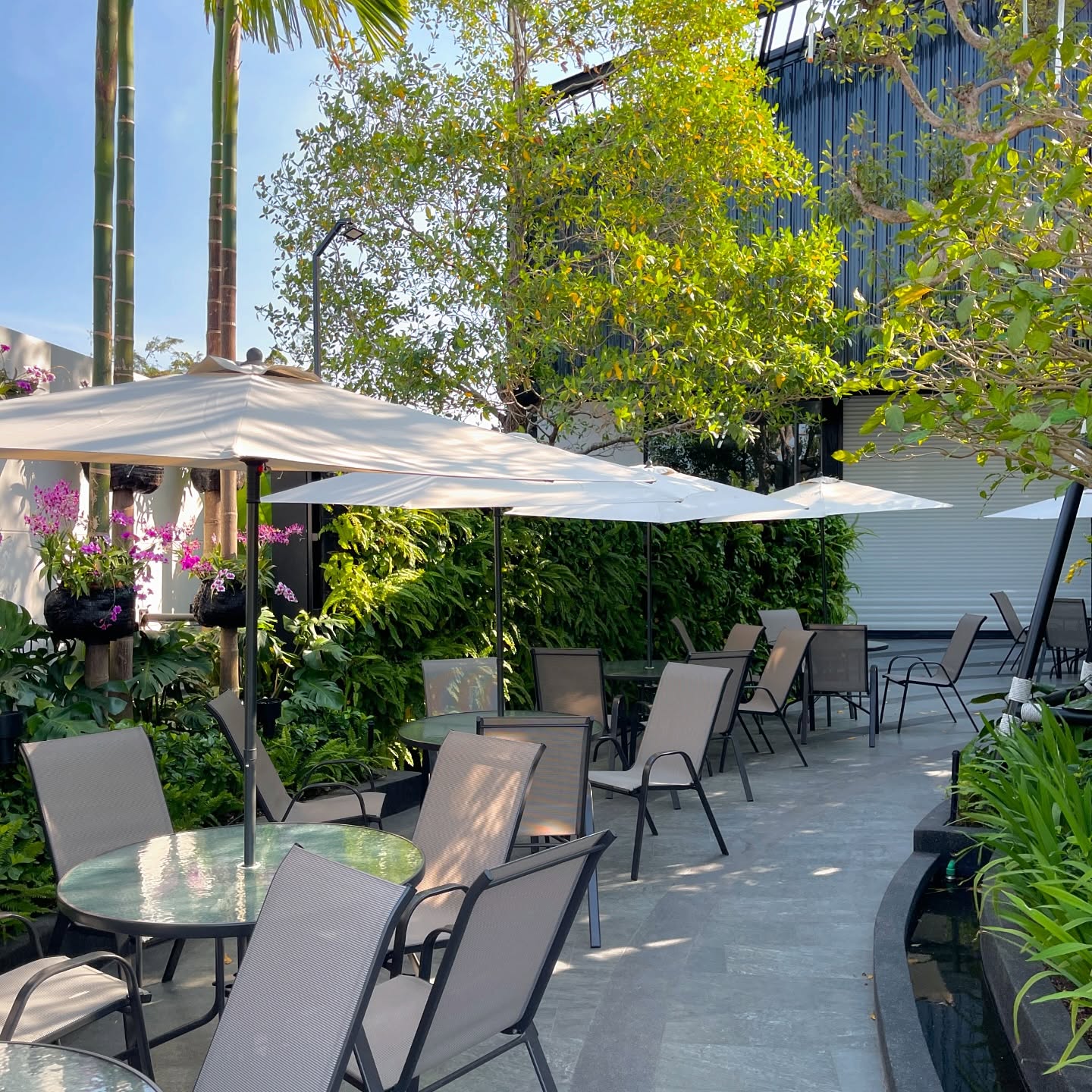 Haus cafe &amp; bar, Summer Koffee, Babe Velvet Cafe, SHUSH Cafe &amp; Bar, Baan Boossarawadee, Triplets House