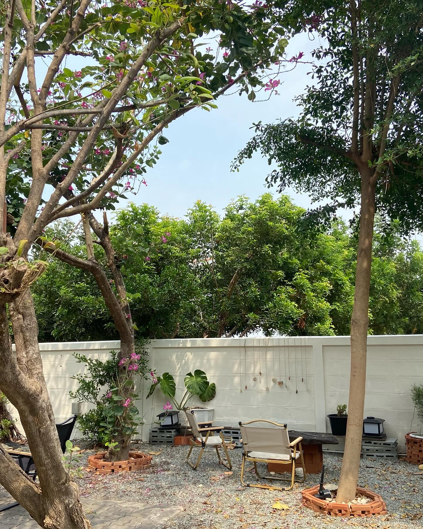 Haus cafe &amp; bar, Summer Koffee, Babe Velvet Cafe, SHUSH Cafe &amp; Bar, Baan Boossarawadee, Triplets House