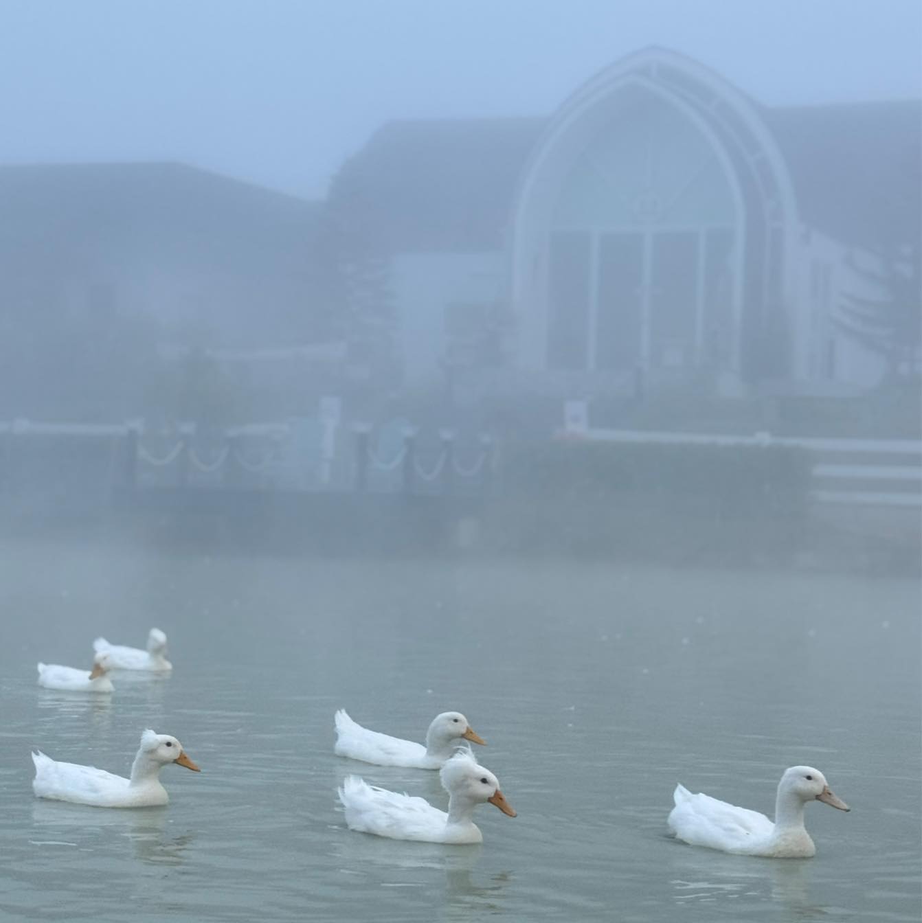 Phosai Coops &amp; Farm, KEEP X MUNIMAL, loll.a, Santisuk, LANG BAAN, Sunrise To Midnight, Wab Cafe, Lovio, Kanuengnij Cafe, LightRoaster