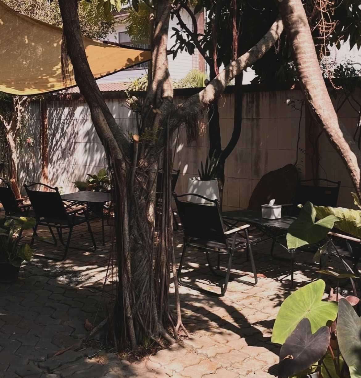 Phosai Coops &amp; Farm, KEEP X MUNIMAL, loll.a, Santisuk, LANG BAAN, Sunrise To Midnight, Wab Cafe, Lovio, Kanuengnij Cafe, LightRoaster