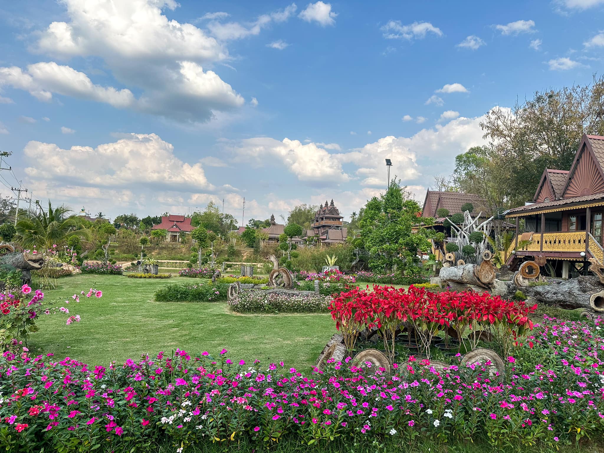 Phosai Coops &amp; Farm, KEEP X MUNIMAL, loll.a, Santisuk, LANG BAAN, Sunrise To Midnight, Wab Cafe, Lovio, Kanuengnij Cafe, LightRoaster