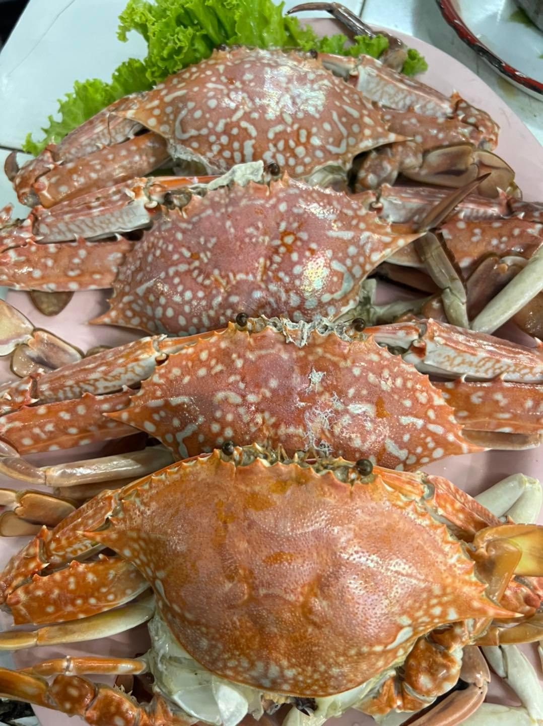 บัน'S TOWN, สากลนคร, CHEER BAN, เก๋าใหญ่ซีฟู้ด, ข้าวบ้านแม่