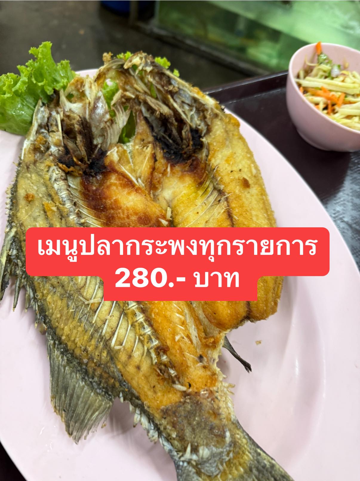 บัน'S TOWN, สากลนคร, CHEER BAN, เก๋าใหญ่ซีฟู้ด, ข้าวบ้านแม่