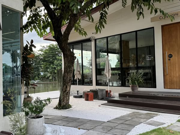 Cafeccini, Bootcamp Cafe, SUNKISS.bangkok, Nine Cafe, บ้านและเกสร, Dog Country Cafe, Kaffeehaus, คาเฟ่ บ้านหมี, หวานกรอบ Farm &amp; Cafe, Mamaison cafe, แสงตะวันฟาร์ม เมล่อนสาย4