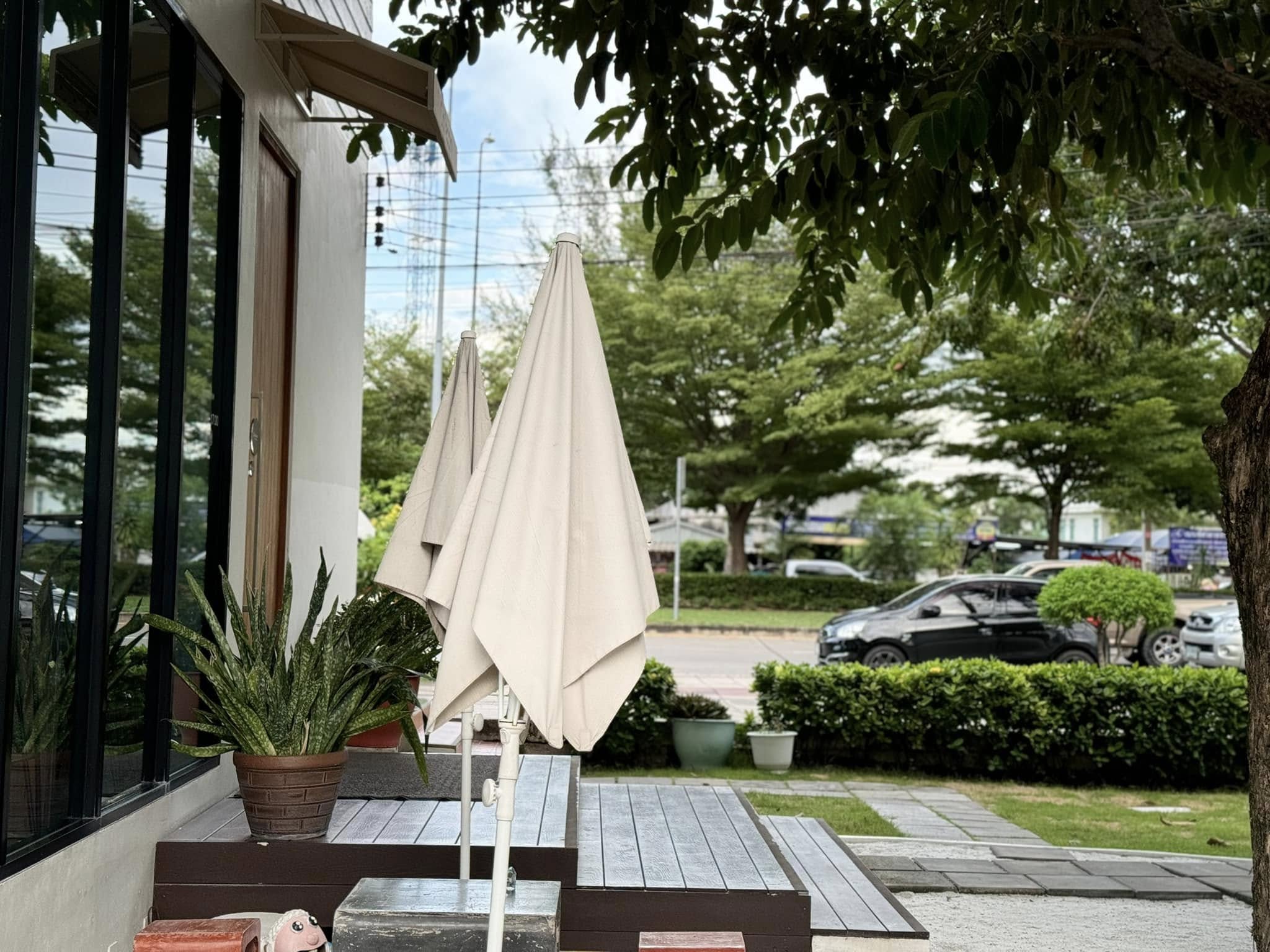 Cafeccini, Bootcamp Cafe, SUNKISS.bangkok, Nine Cafe, บ้านและเกสร, Dog Country Cafe, Kaffeehaus, คาเฟ่ บ้านหมี, หวานกรอบ Farm &amp; Cafe, Mamaison cafe, แสงตะวันฟาร์ม เมล่อนสาย4