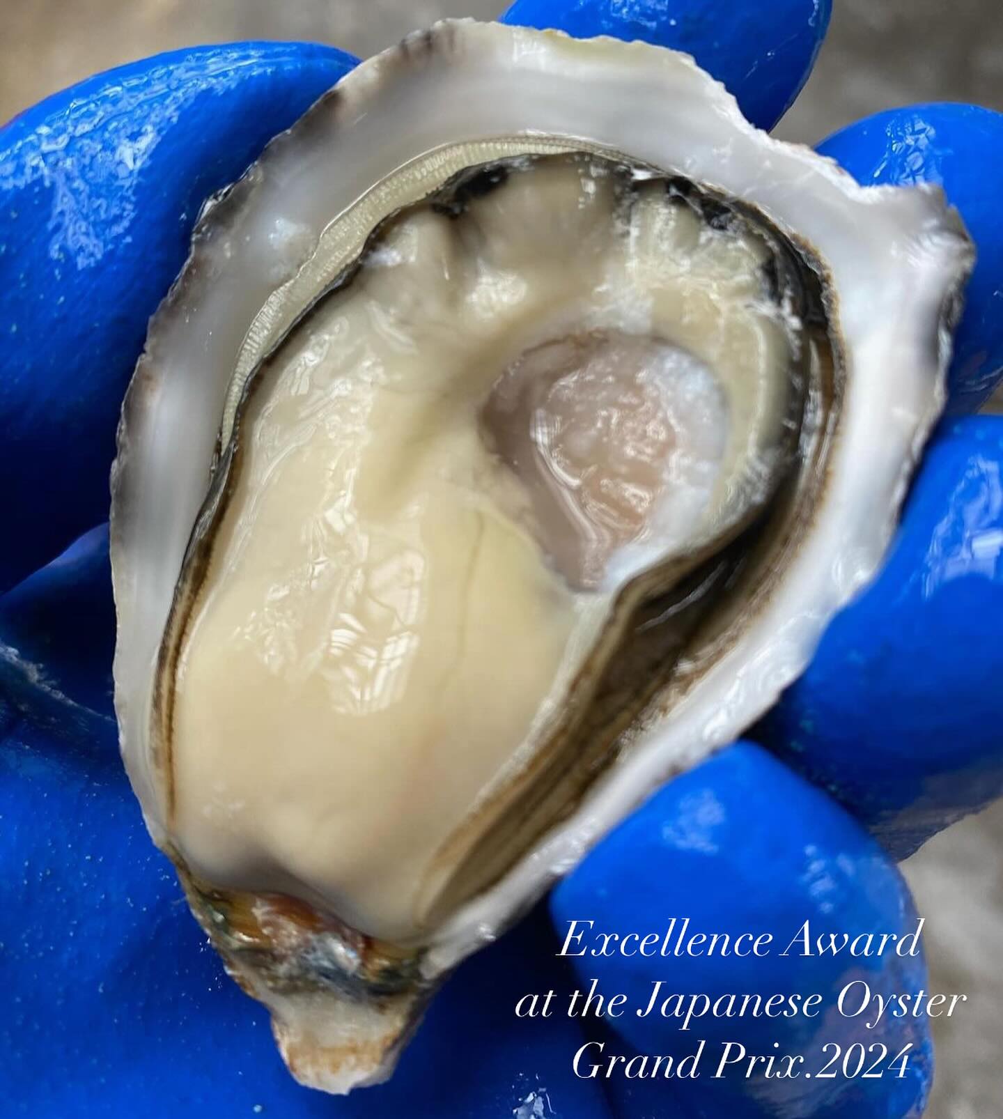 oystermania, The Dock, Lobster &amp; Oyster, เล็ก &amp; รัตน์ซีฟู้ด, Oyster Bay Bangkok