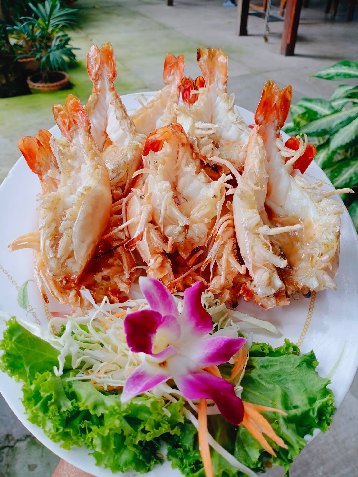 จ๊ะโอ๋ซีฟู๊ด, รุ่งฟ้า ซีฟู้ด, วิวทิวไม้ ซีฟู้ด, ครัวลุงแถม, ครัวแพขวัญใจซีฟู้ด บางขุนเทียน, ครัวน้าเนียมซีฟู้ด, ครัวนพเก้าซีฟู้ด, ครัวทับทิม ซีฟู้ด, ครัวพ่อกำนันซีฟู๊ด บางขุนเทียน-ชายทะเล, บ้านปองพลซีฟู้ด, ครัววลัยพร, ธารทะเลซีฟู้ด บางขุนเทียน-ชายทะเล, ฟาร์มสมใจซีฟู้ดส์ บางขุนเทียนชายทะเล, ครัวคุณอรซีฟู๊ดบางขุนเทียน