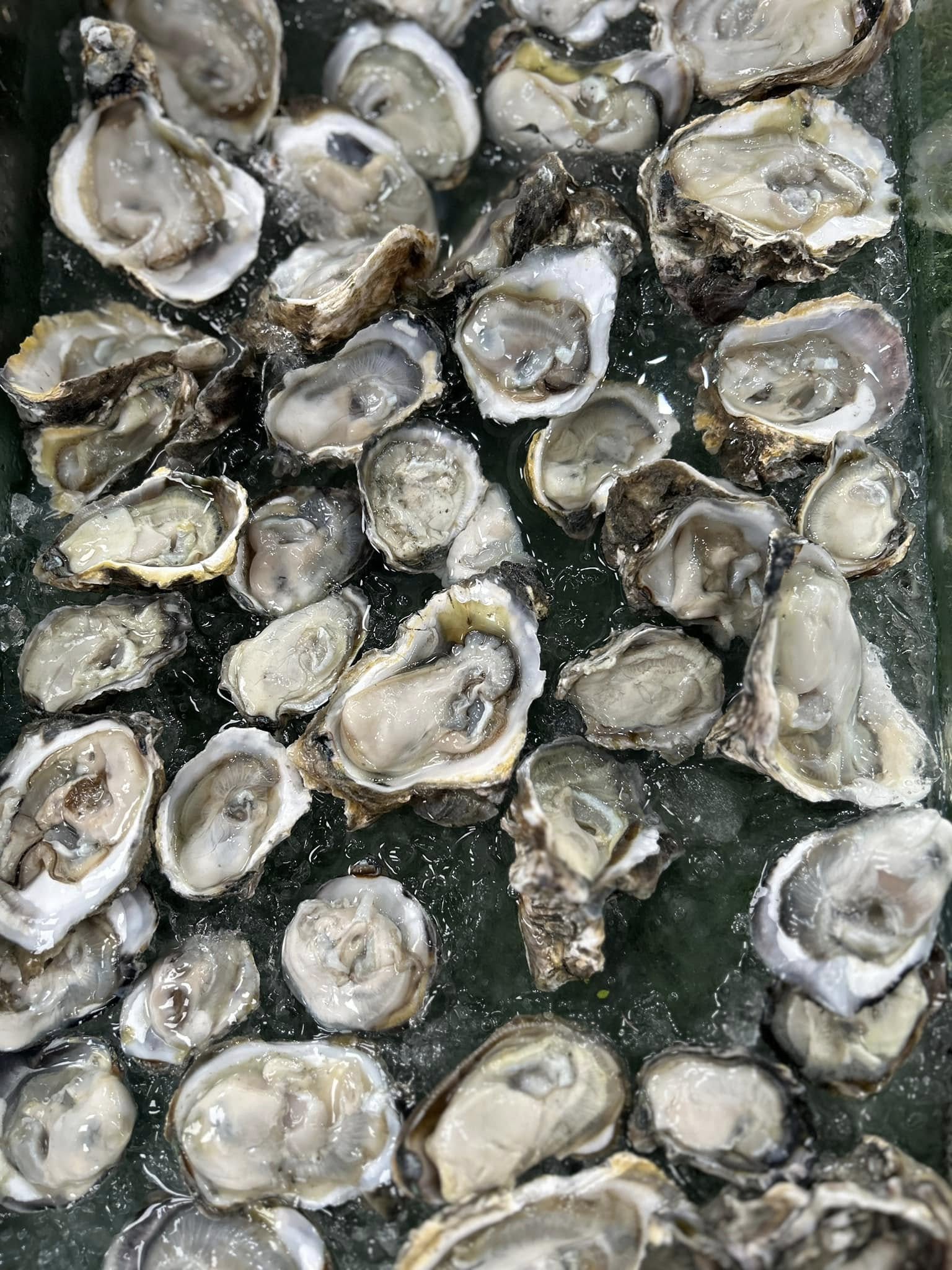 เป๋าตุงกุ้งย่าง, ติดมันส์ ศรีนครินทร์, อาป๋ากุ้งย่าง, สาขาสายไหม, ธนวัฒน์ ท.ฟู๊ด, BestBeef, นวลจันทร์ หมูกระทะ