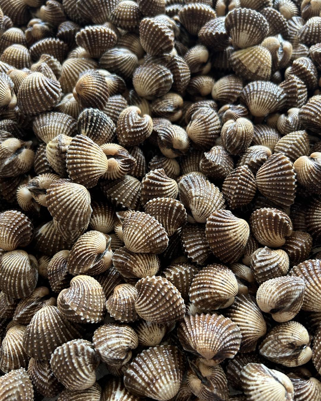 เป๋าตุงกุ้งย่าง, ติดมันส์ ศรีนครินทร์, อาป๋ากุ้งย่าง, สาขาสายไหม, ธนวัฒน์ ท.ฟู๊ด, BestBeef, นวลจันทร์ หมูกระทะ