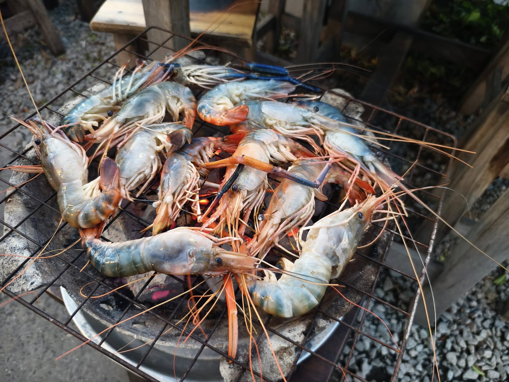 เป๋าตุงกุ้งย่าง, ติดมันส์ ศรีนครินทร์, อาป๋ากุ้งย่าง, สาขาสายไหม, ธนวัฒน์ ท.ฟู๊ด, BestBeef, นวลจันทร์ หมูกระทะ