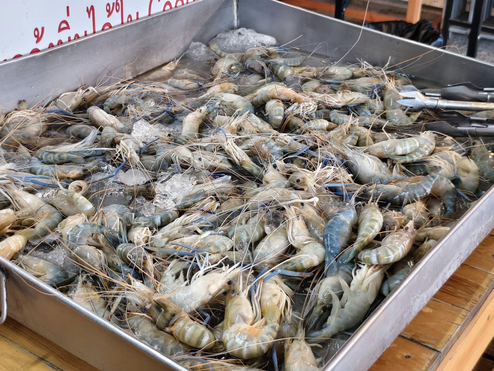 เป๋าตุงกุ้งย่าง, ติดมันส์ ศรีนครินทร์, อาป๋ากุ้งย่าง, สาขาสายไหม, ธนวัฒน์ ท.ฟู๊ด, BestBeef, นวลจันทร์ หมูกระทะ