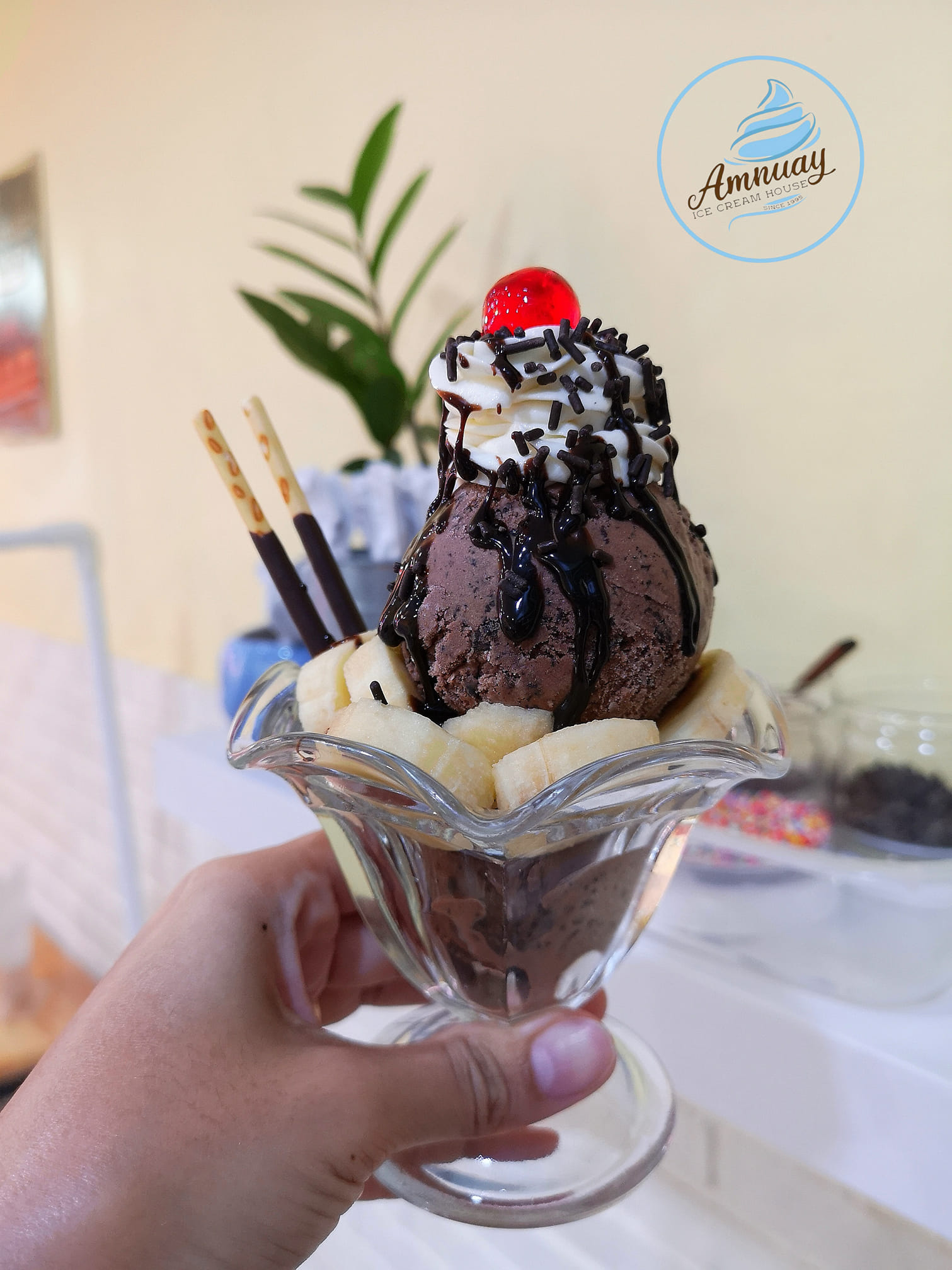 ฮงฮวด, อำนวยไอศกรีม, ไผ่ทองไอสครีม, มหาชัยไอศกรีม, ไอศกรีมทิพย์รส, Thai Royal icecream, Umm! Milk