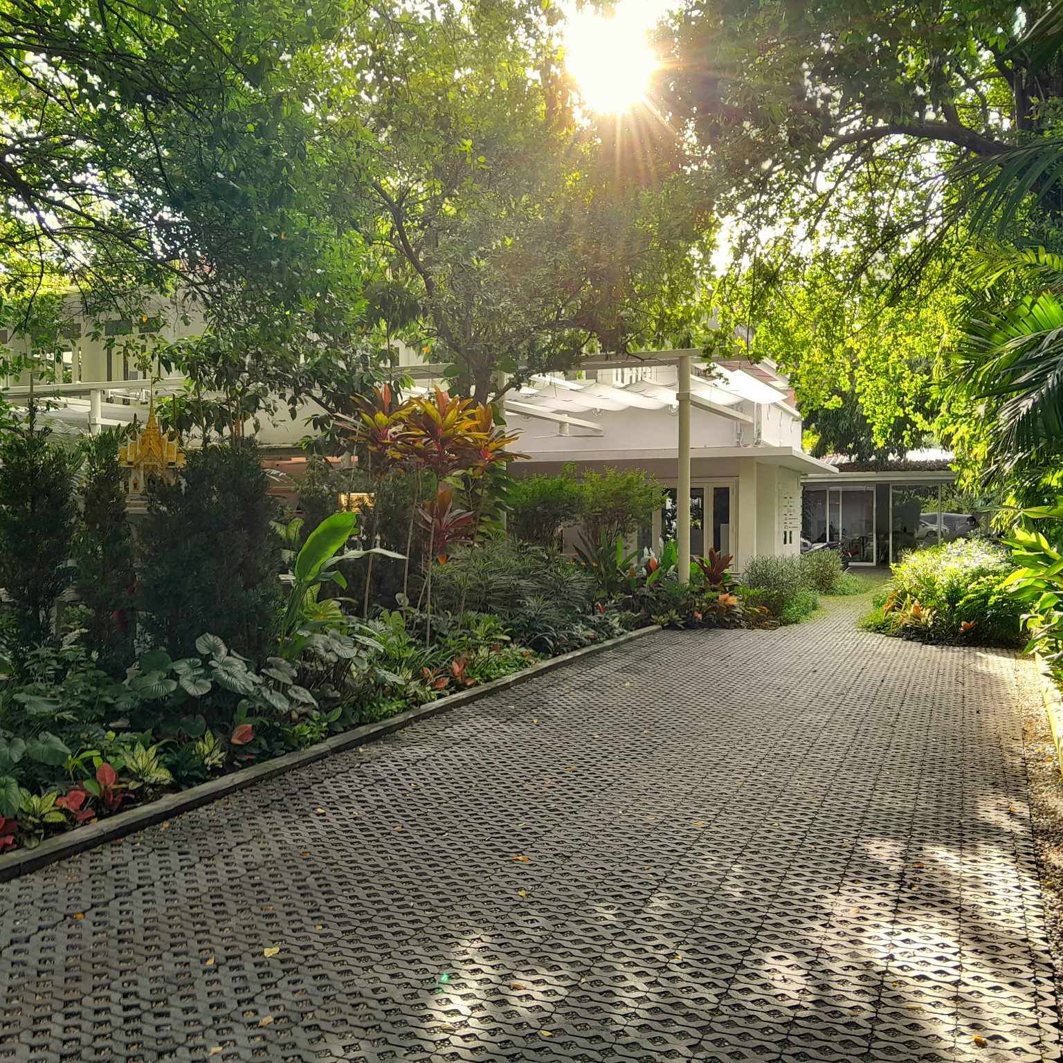 34EIGHT Coffee &amp; Community, Frank Cake Bar, Yellow Lane, Cafe Vondervic